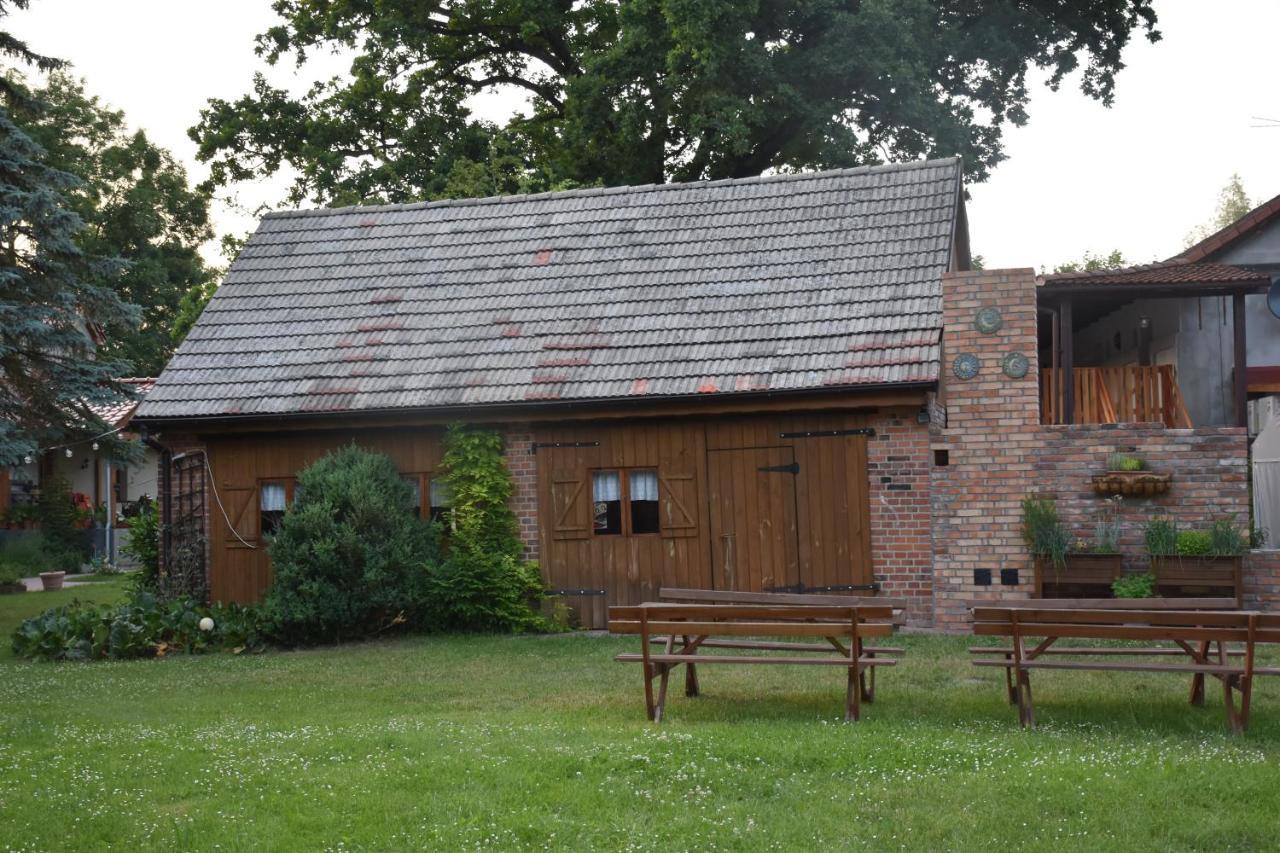 Villa Gosciniec Pod Debem à Trzciel Extérieur photo