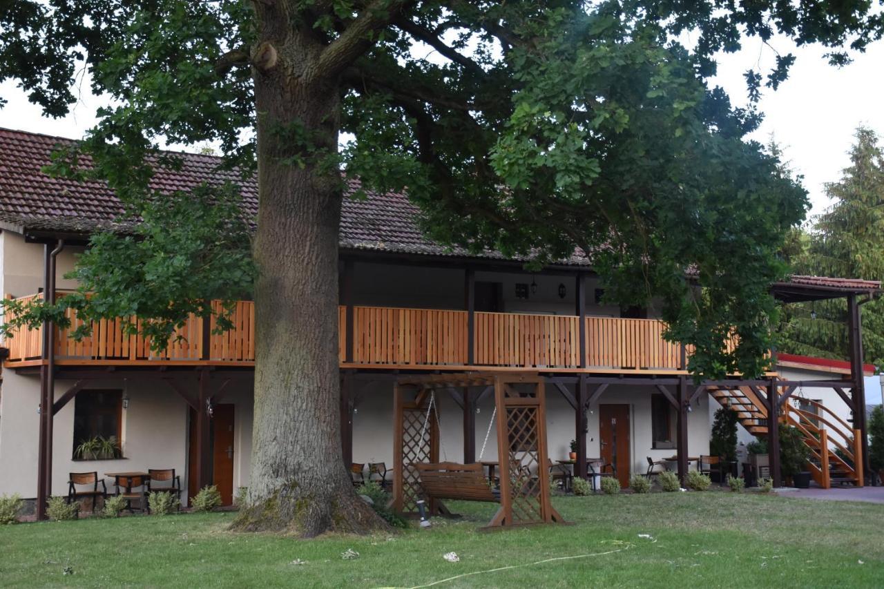 Villa Gosciniec Pod Debem à Trzciel Extérieur photo