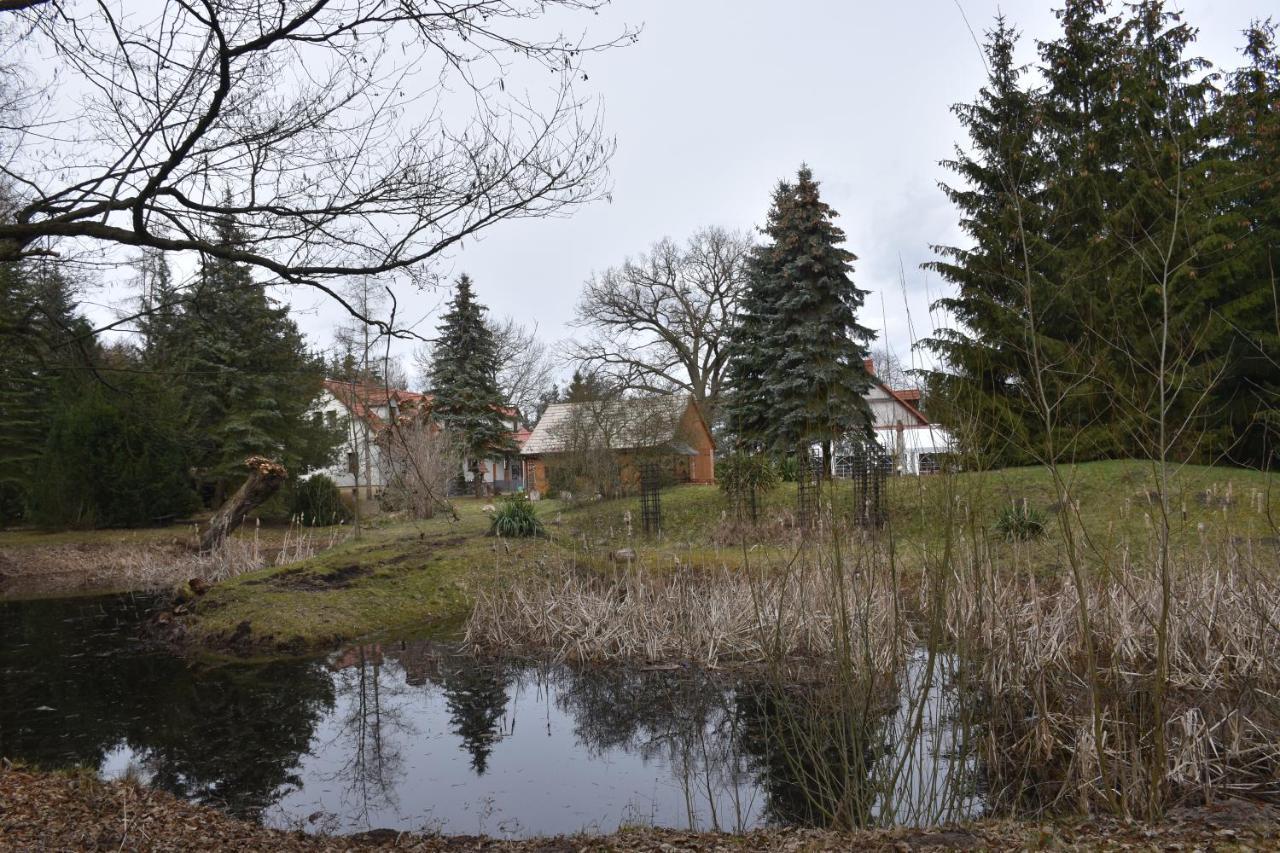 Villa Gosciniec Pod Debem à Trzciel Extérieur photo