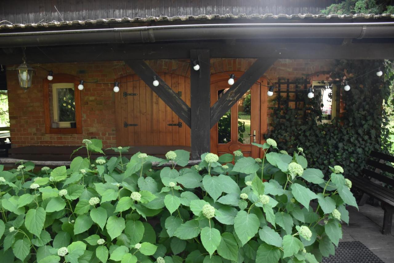 Villa Gosciniec Pod Debem à Trzciel Extérieur photo
