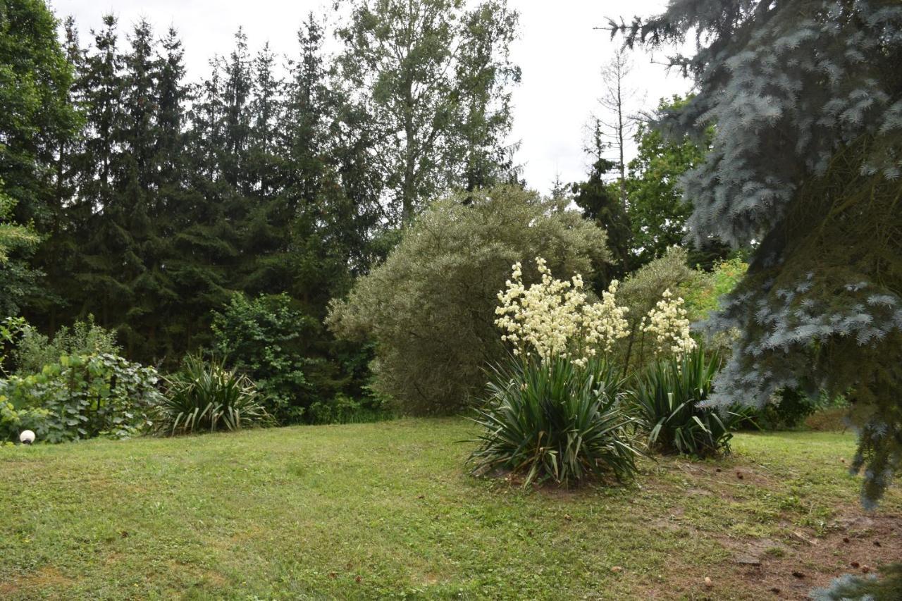 Villa Gosciniec Pod Debem à Trzciel Extérieur photo