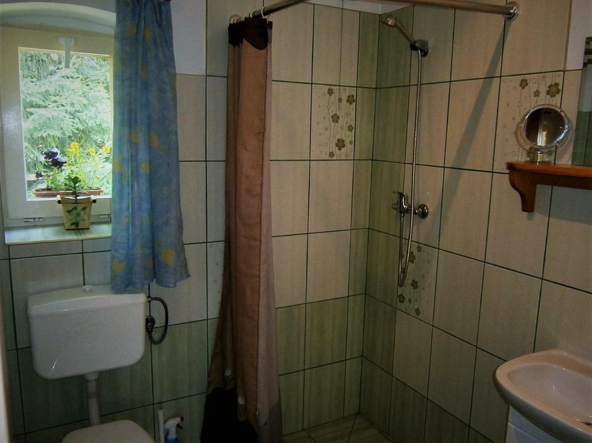 Villa Gosciniec Pod Debem à Trzciel Extérieur photo